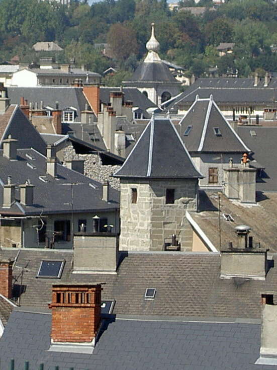 Visite guidée : Chambéry, patrimoine & dégustation de vins