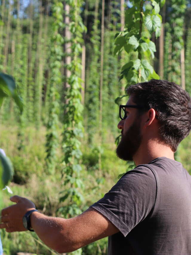 Live from a Bresse hop farm