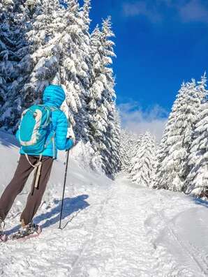 HALF-DAY SNOWSHOE HIKE – AURON