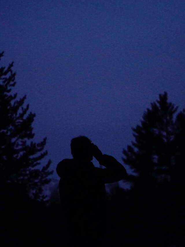Balade nocturne : chouette soirée en forêt