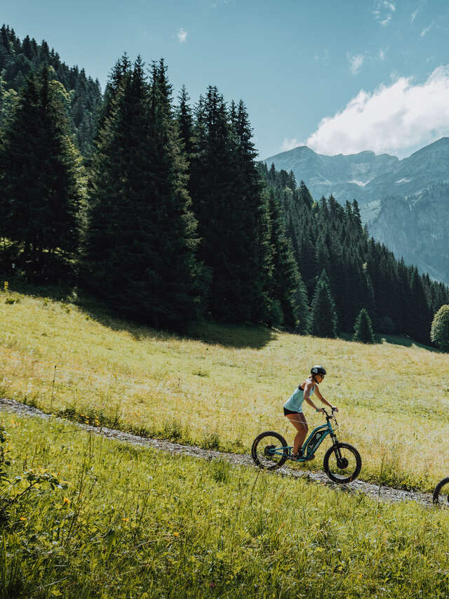 Trottinette Electrique "Découverte des Alpages et du Lac de Vallon"