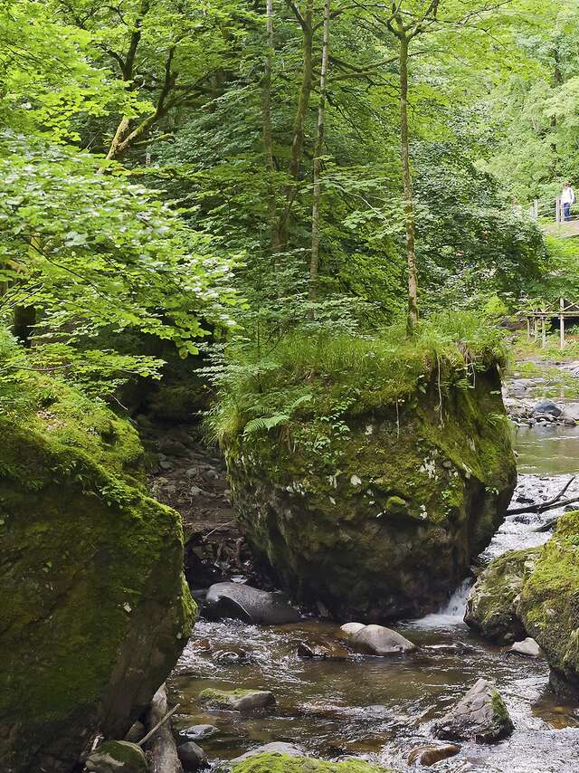 Sentier de découverte des Gorges de la Jordanne - Réouverture le 13 mai 2026