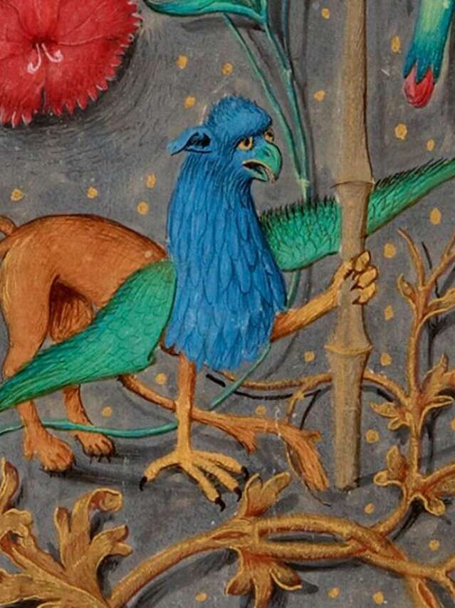 Atelier : Le Bestiaire fantastique (Adultes)