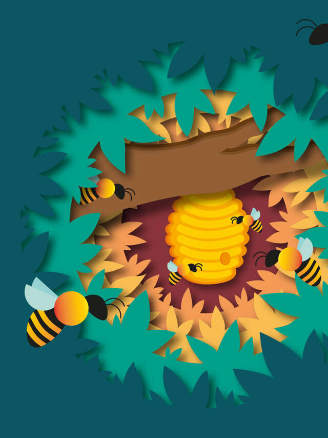 Actividades en la naturaleza: la fiesta de la miel