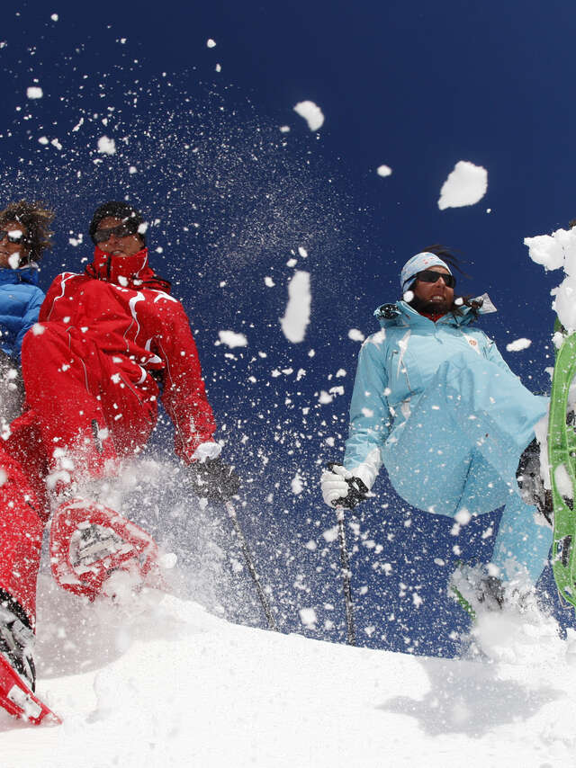 Snowshoe outing : half-day