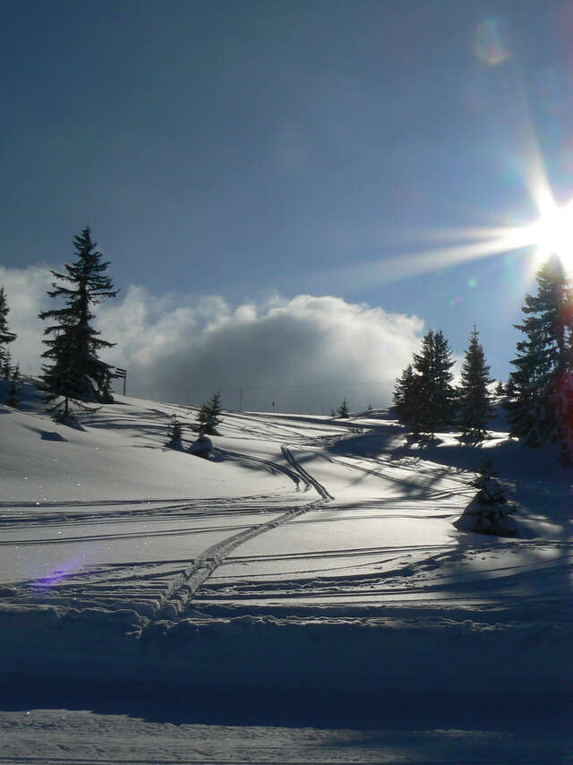 Le saut du Chamois