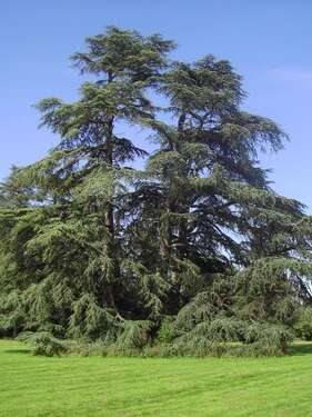 Parc de la Guyonnière