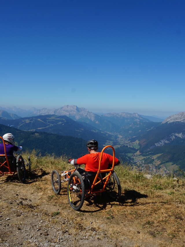 Fauteuil tout terrain électrique