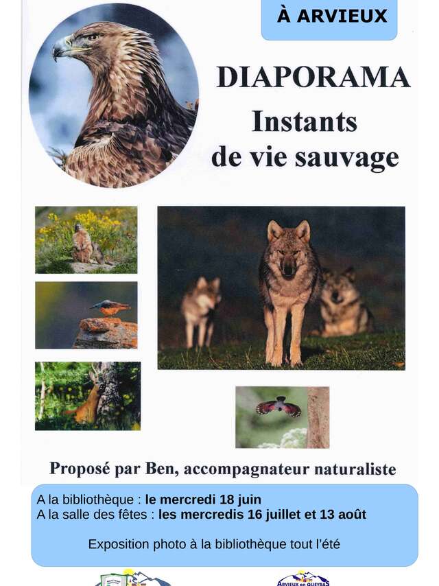 Diaporama - conférence "Instants de vie sauvage"
