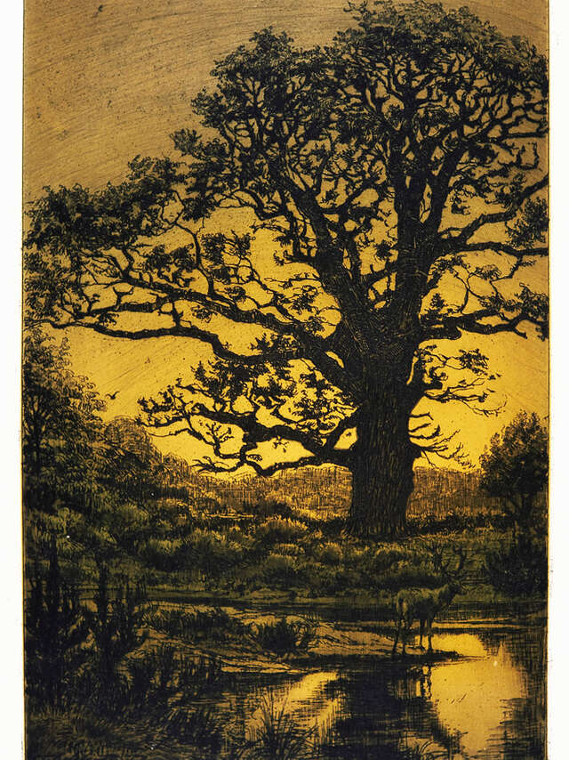 Atelier en famille - Nature éphémère