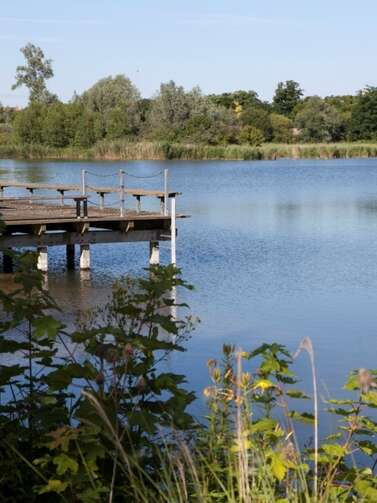 Parc départemental de la Boucle de Montesson