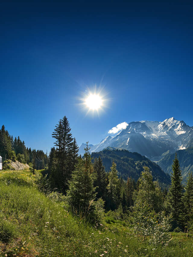 Tramway du Mont-Blanc