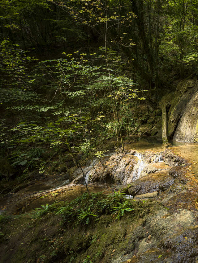 Emblématique : grotte et pétillant local !