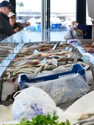 Marché aux poissons