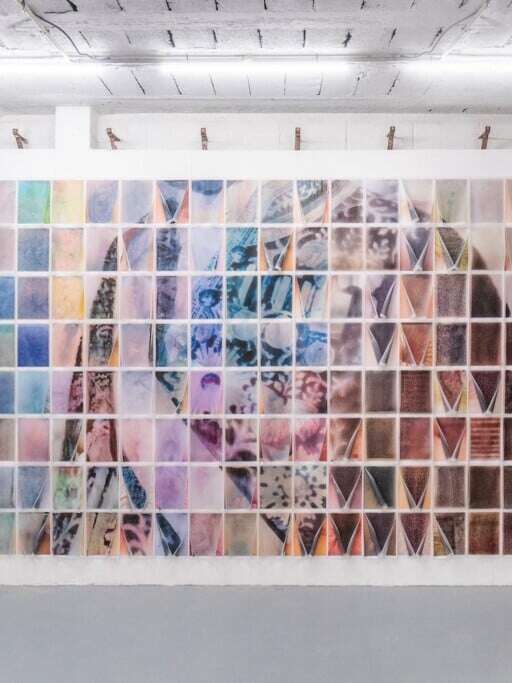 The Shameful Chrysanthemum II