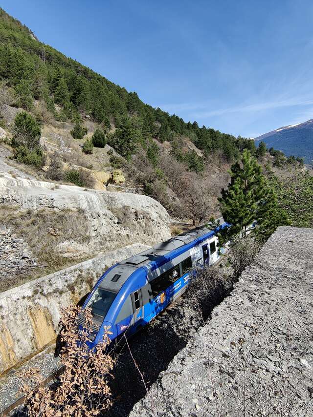 Concours photo "le train passe à Réotier"
