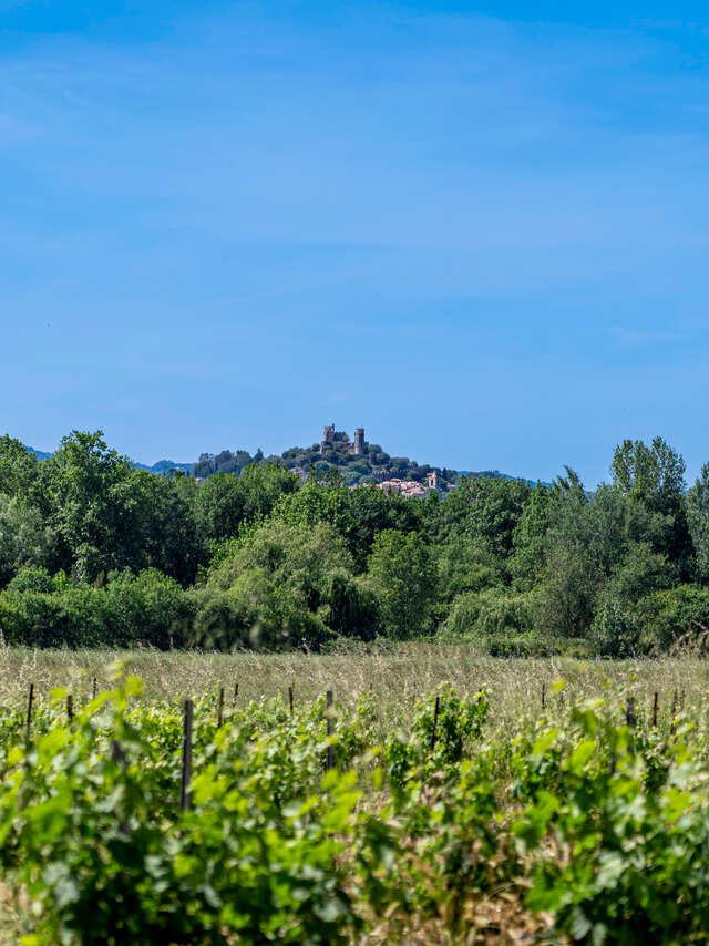 Sentier "Le Peyron"