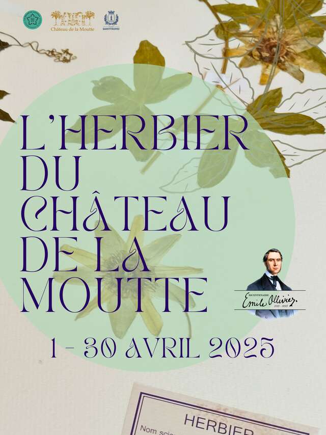 Sonderausstellung: Das Herbarium des Château de la Moutte