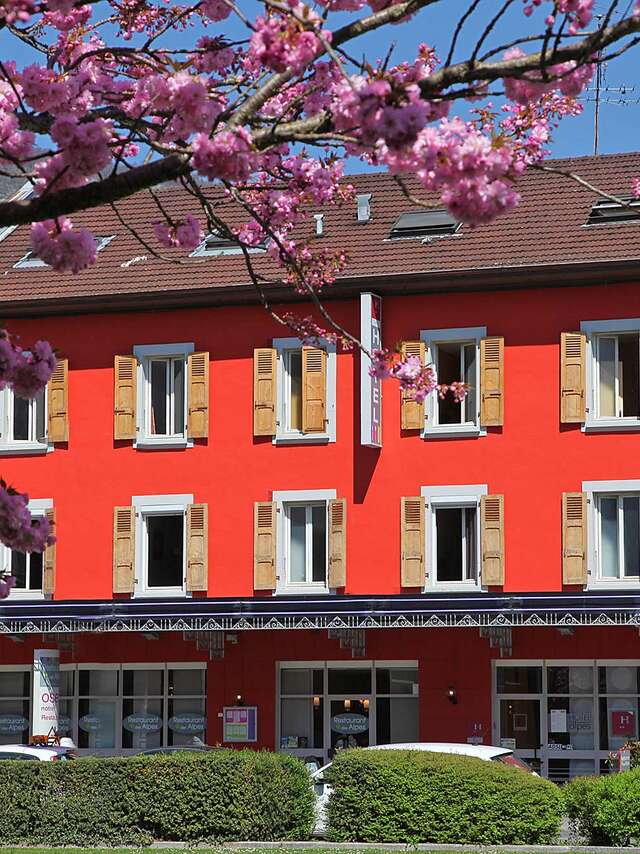 Hôtel des Alpes