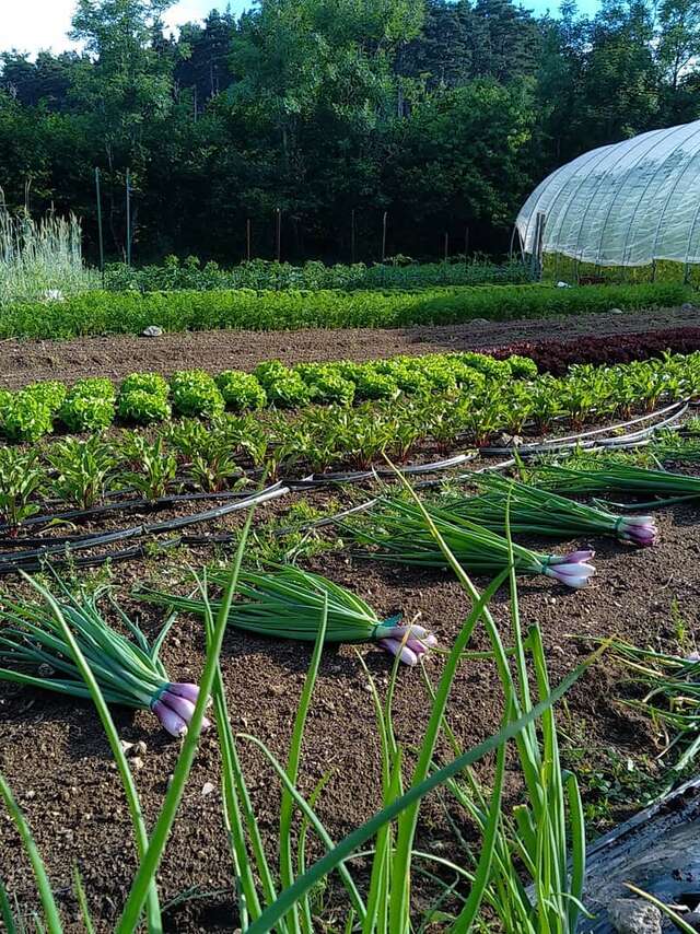 Les Jardins du Trifoulou