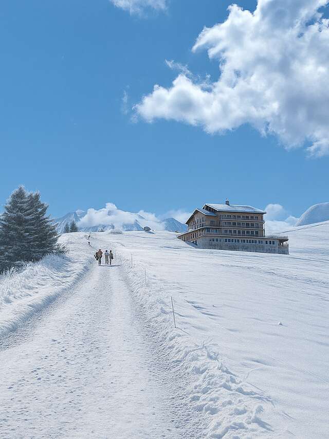Refuge Chez la Tante - Mont d'Arbois