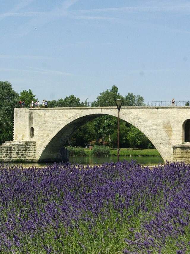 Brücke von Avignon