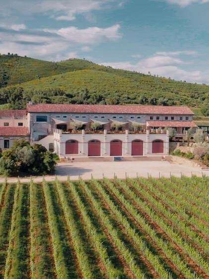 Les Musicales dans les vignes - Gypsy jazz at Château Galoupet