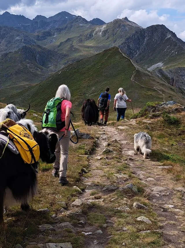 Randonnée sur les crêtes avec les Yaks