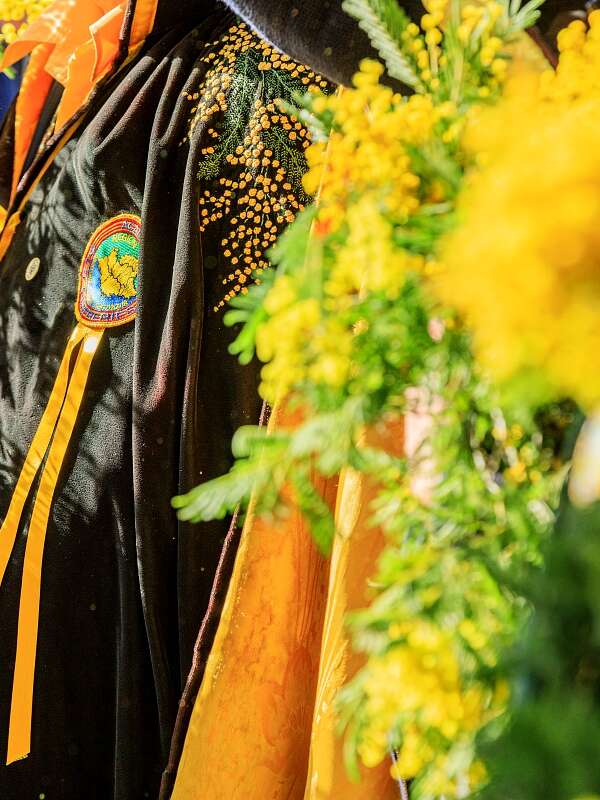 Fête du Mimosa 2026 - Le Carnaval des Carnavals