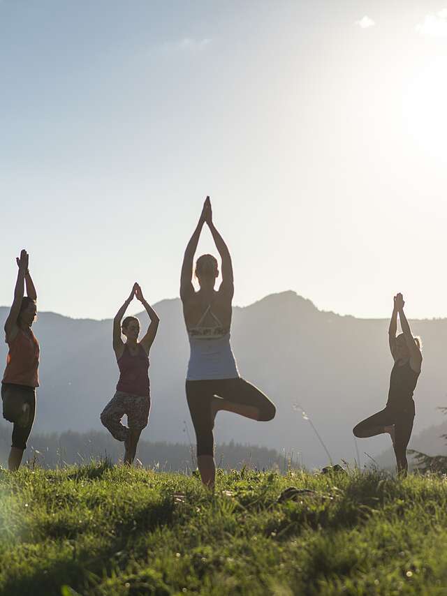 Yoga : cours en pleine nature