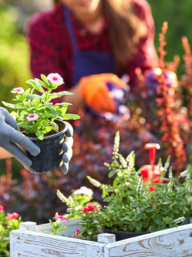 Réunions mensuelles • Association horticole de Cusset