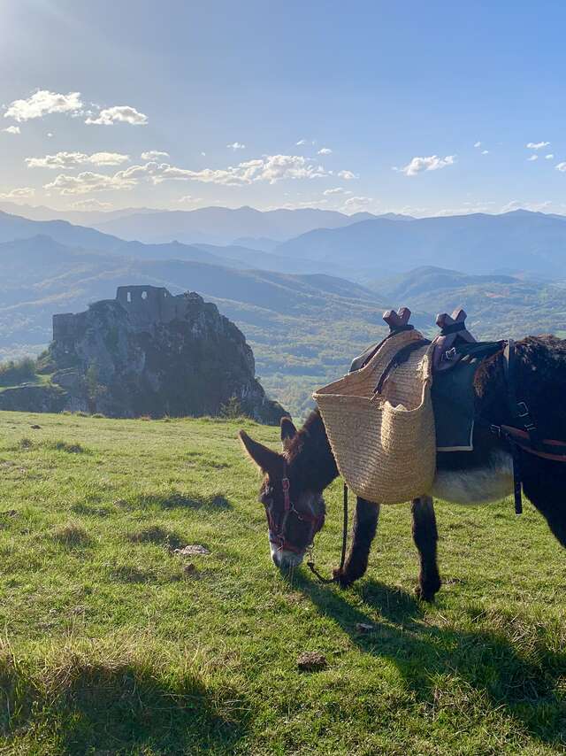 Escap'Ânes - Roquefixade