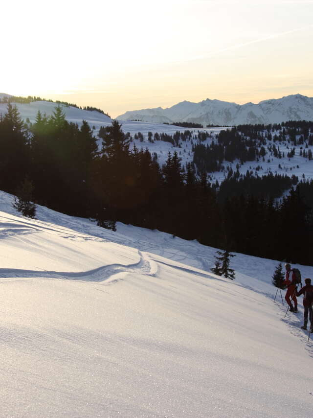 Nocturne sur les traces du Dahu