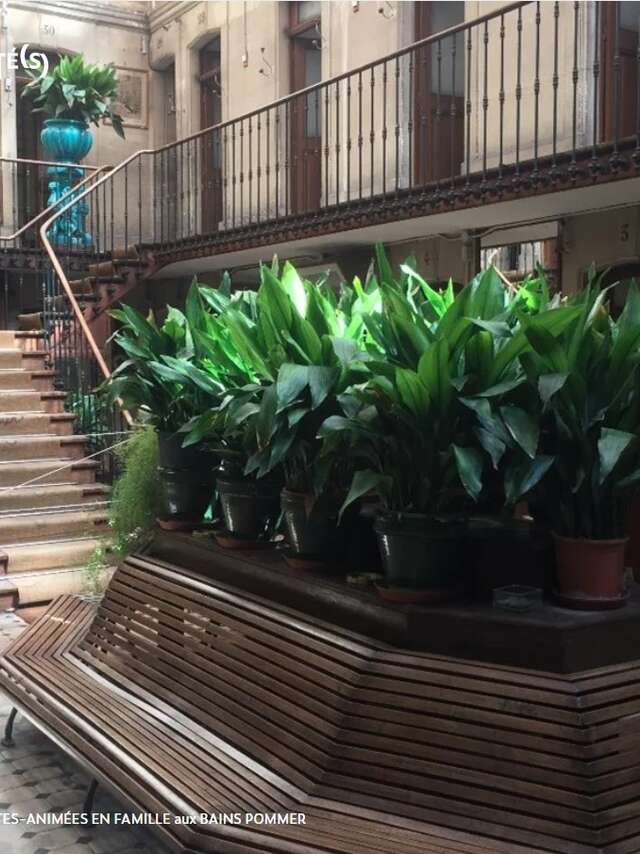 Les visites guidées en famille du musée des bains Pommer