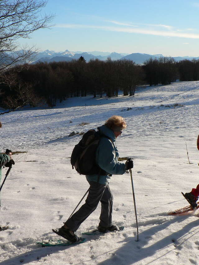 Snowshoe hiking