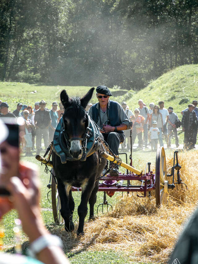 Fête du Mulet