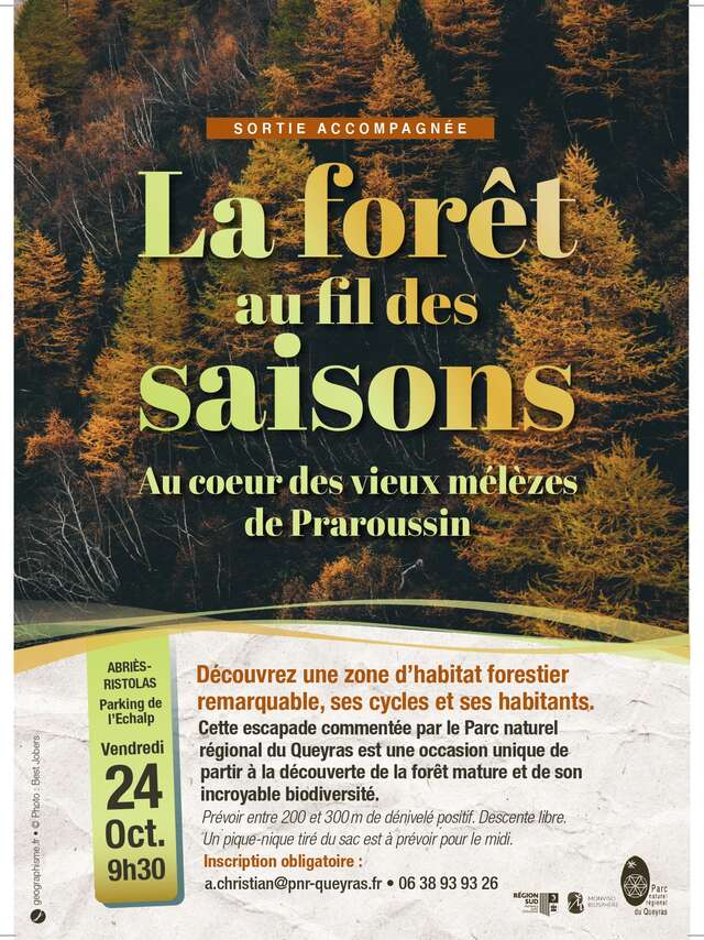 Sortie Parc - La forêt au fil des saisons