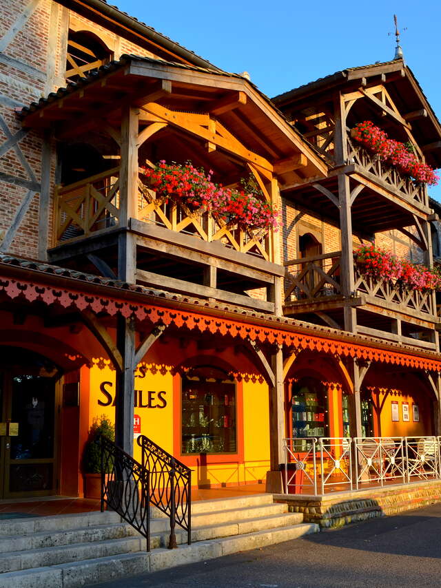 Hôtel Les Saules Parc & Spa