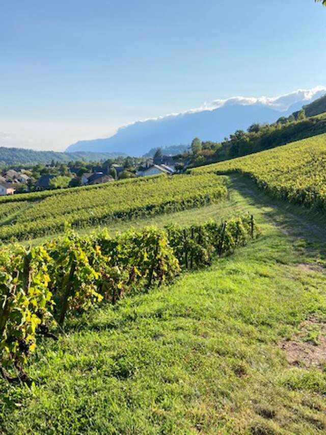 Apéro'Vignes au Château de Mérande