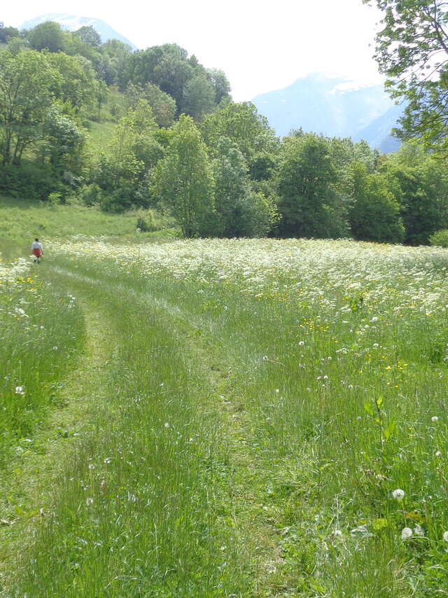 Chemins de passage l Renc'Arts du Parc