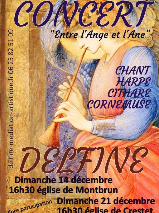 Concert Delfine - "Entre l'ange et l'âne""
