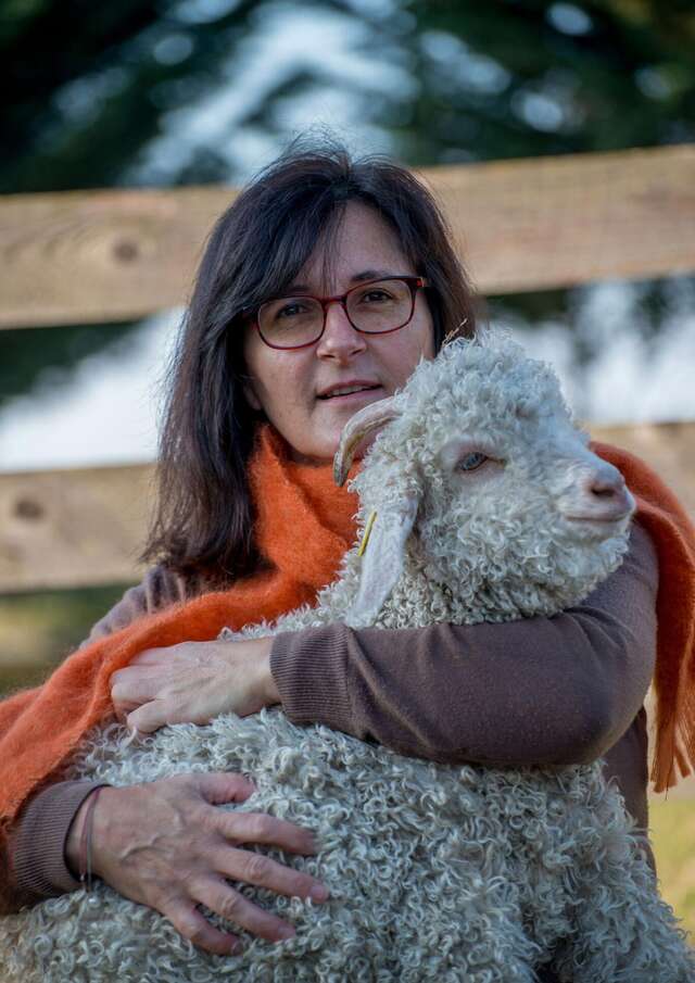 Le Mohair du Pays de Chambord