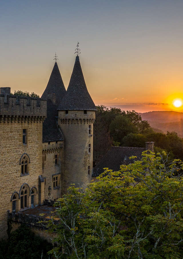 Château de Puymartin