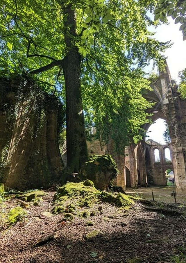 Rendez-vous aux Jardins à l'Abbaye de Trois-Fontaines