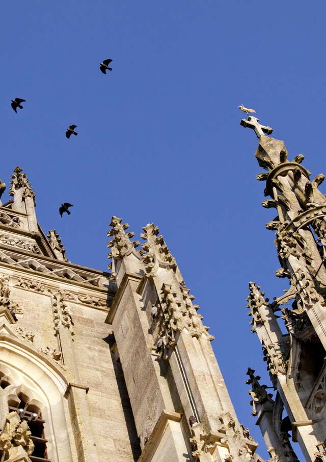 Visite Guidée de la flèche sud de la Basilique de l'Epine