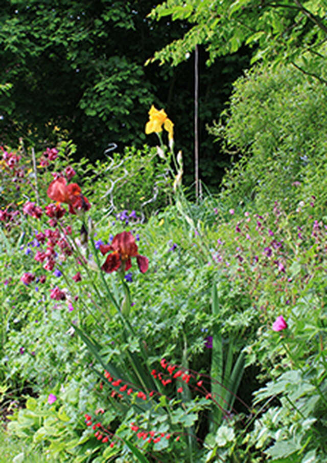 Portes ouvertes dans les Jardins : Un Jardin pour tous les sens