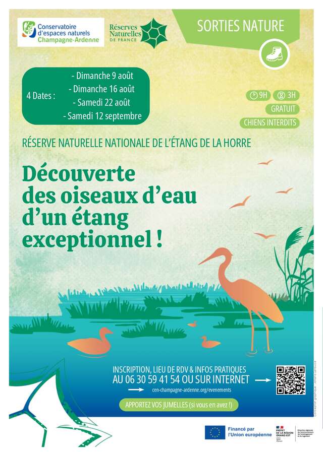 Découverte des oiseaux d'eau d'un étang exceptionnel