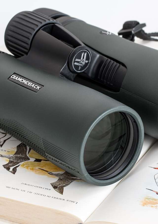 Oiseaux nicheurs et migrateurs du Lac du Der