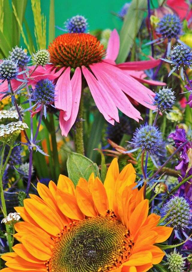 Marché aux Fleurs & de l'artisanat