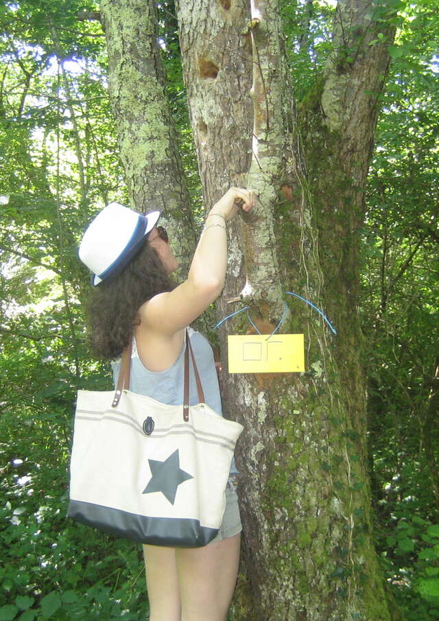Chasse aux trésors "le Trésor du marais"